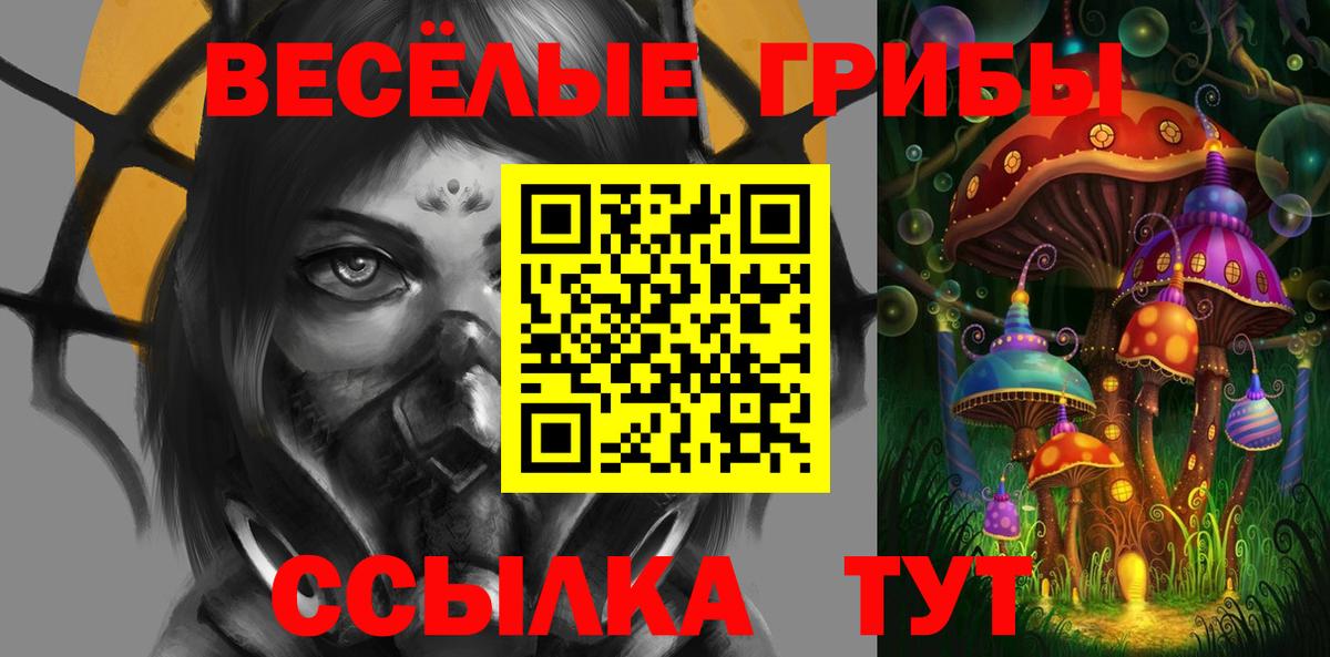 Псилоцибиновые грибы Psilocybine cubensis  Псилоцибиновые грибы MAGIC MUSHROOMS  Вход с VPN  Петропавловск-Камчатский 