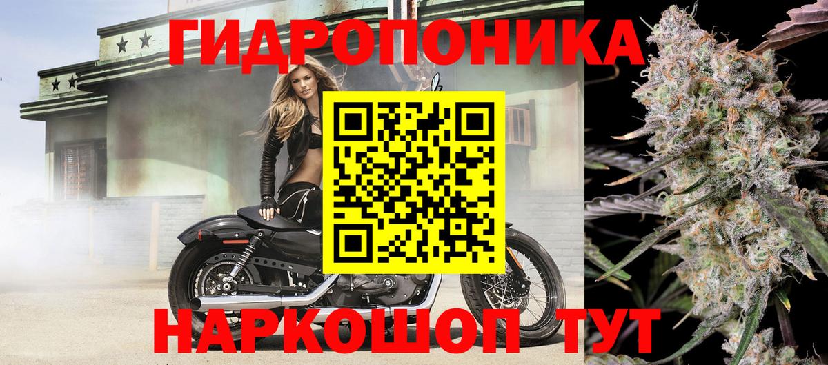 Бошки Шишки гибрид  Марихуана конопля  Вход с VPN  Бошки Шишки планчик  Марихуана конопля  Петропавловск-Камчатский 